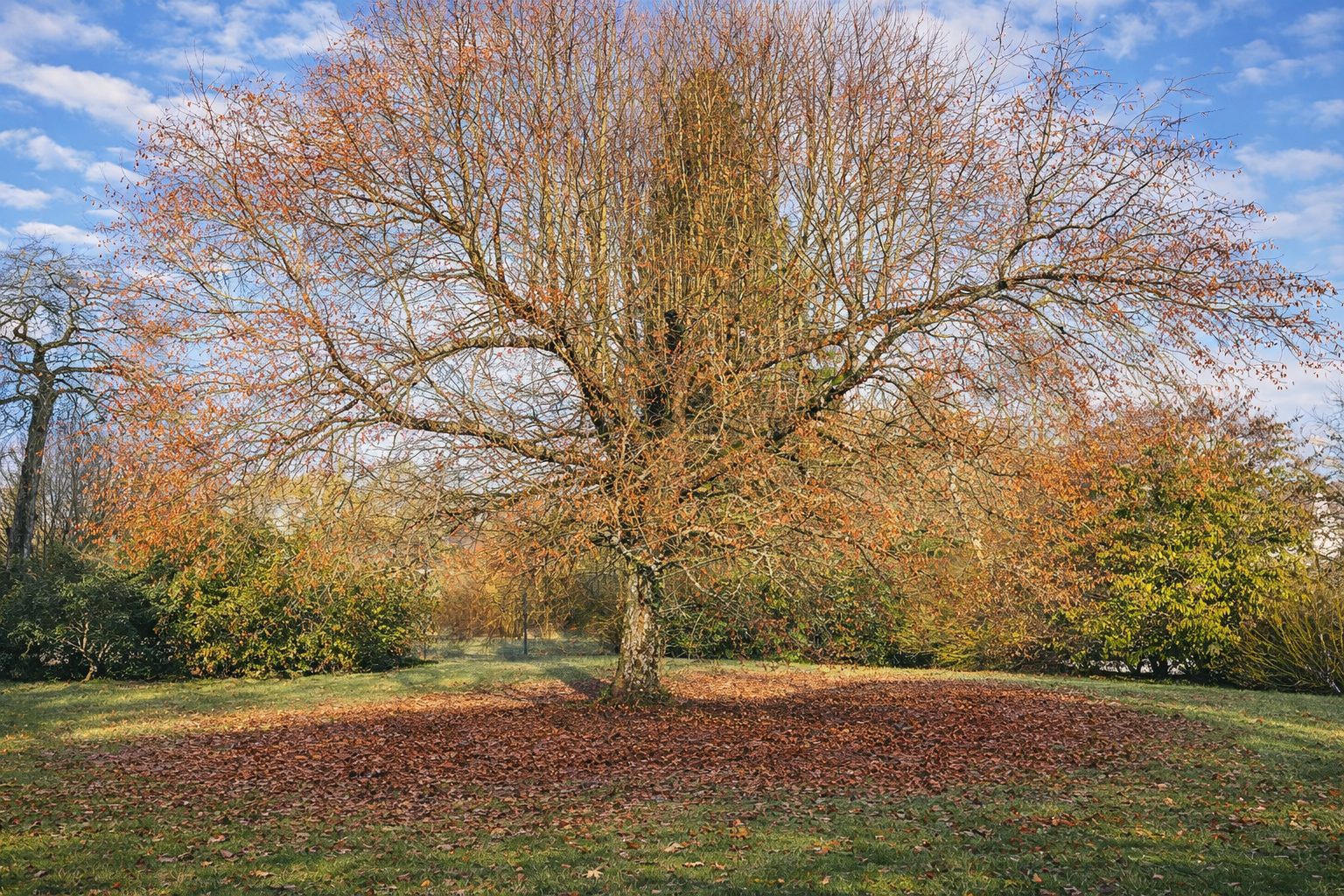 Haus der alten Bäume · Impression 7