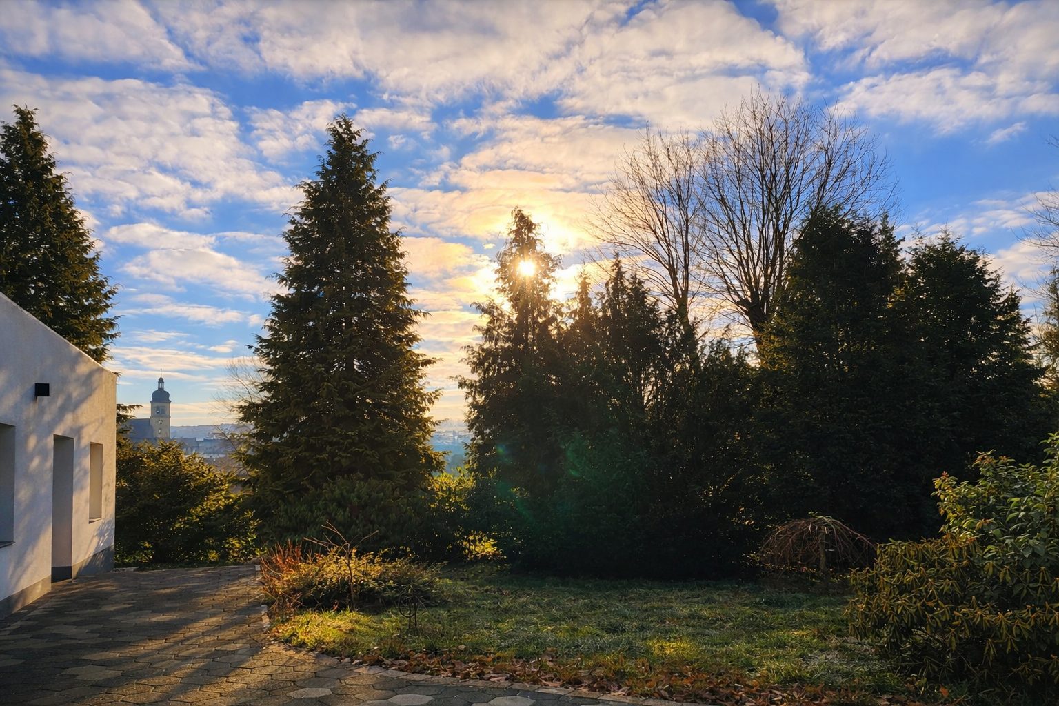 Haus der alten Bäume · Impression 9