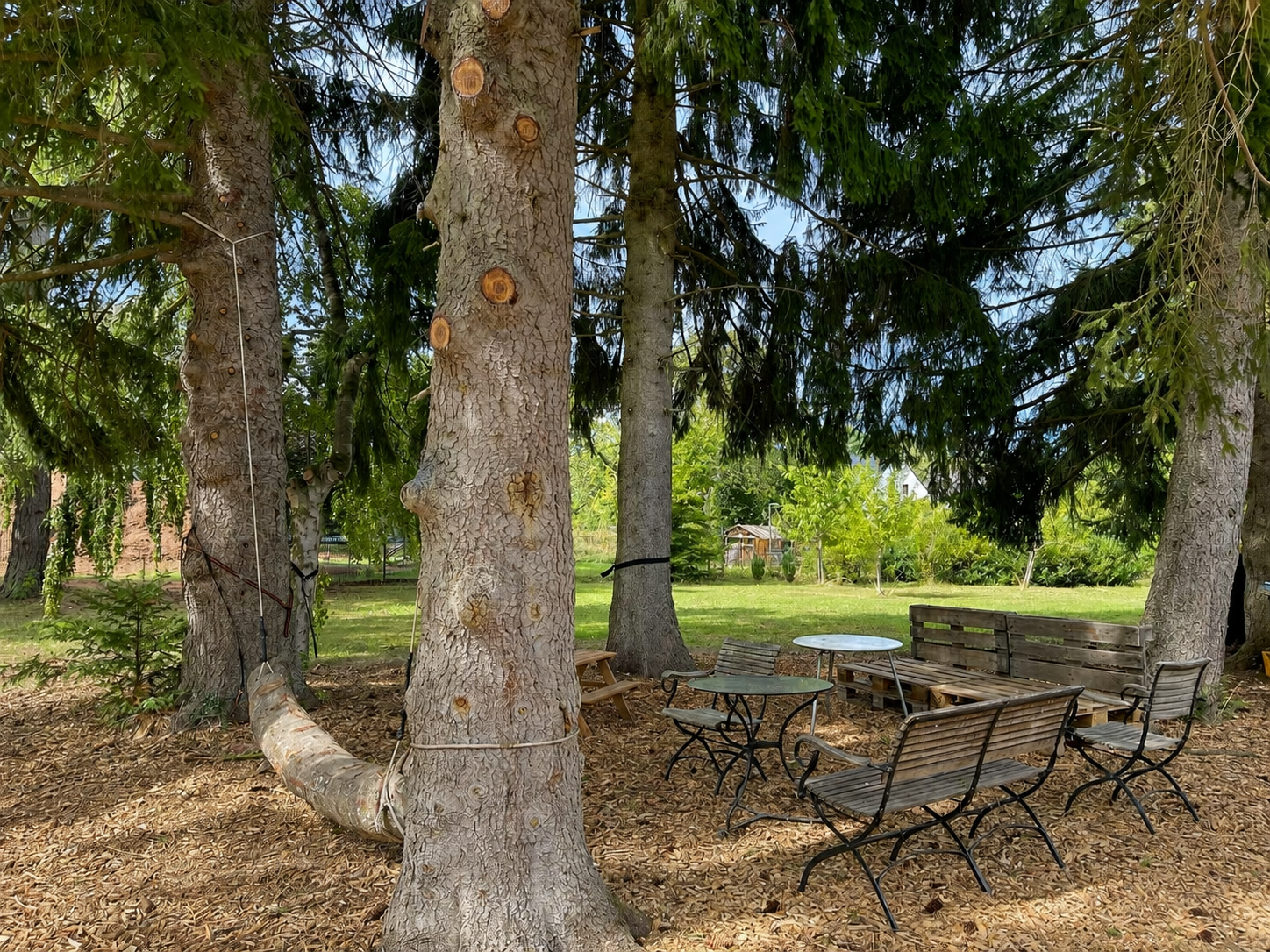 Gartenlounge im Schatten der alten Bäume